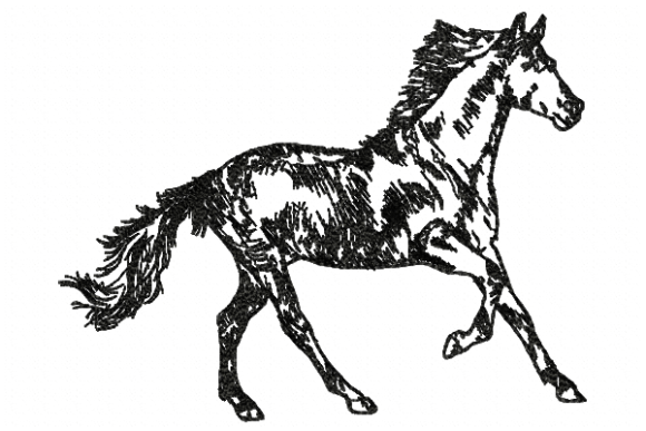 Horse Line Embroidery Design
